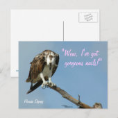 Hawk wunderschöne Nägel Postkarte (Vorne/Hinten)
