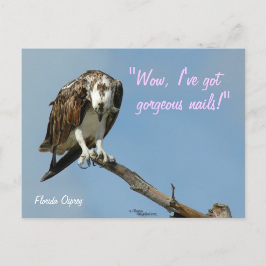 Hawk wunderschöne Nägel Postkarte (Vorderseite)