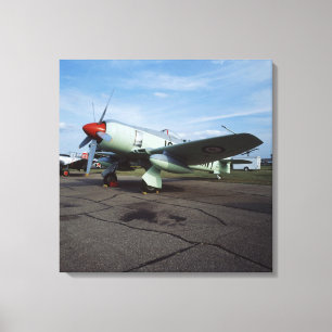 Hawker Sea Fury bei CAF, Minnesota Wing, auf der 2 Leinwanddruck