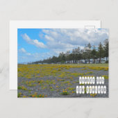 Hawkes Bay in Neuseeland Postkarte (Vorne/Hinten)