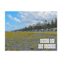 Hawkes Bay in Neuseeland