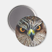 Hawkeyes Magnet (Vorderseite/Rückseite)