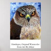 Hawkeyes Poster (Vorne)