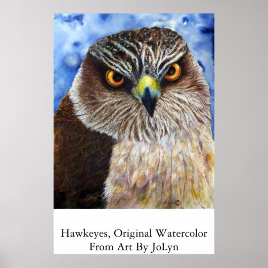 Hawkeyes Poster (Vorne)