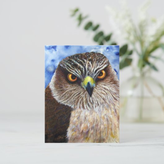 Hawkeyes Postkarte (Stehend Vorderseite)