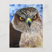 Hawkeyes Postkarte (Vorderseite)