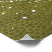 Hawkfish und Korallen Poster (Ecke)