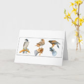 Hawking Studies Geburtskarte Karte (Gelbe Blume)