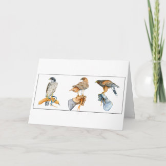 Hawking Studies Geburtskarte Karte