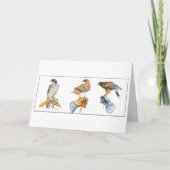 Hawking Studies Geburtskarte Karte (Vorderseite)