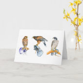 Hawking Studies Geburtskarte Karte (Gelbe Blume)