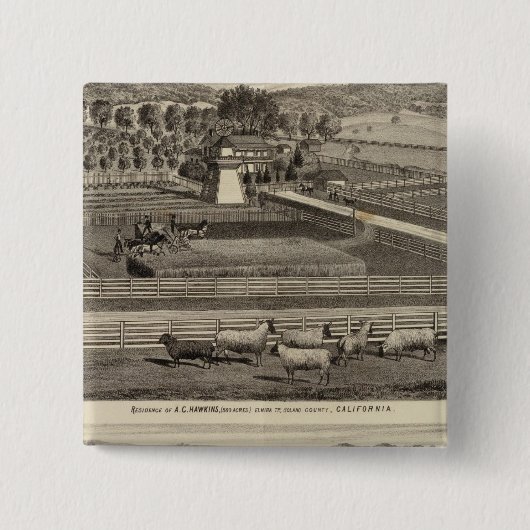 Hawkins, Mayes Residenzen Button (Vorderseite)