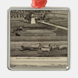 Hawkins, Mayes Residenzen Silbernes Ornament