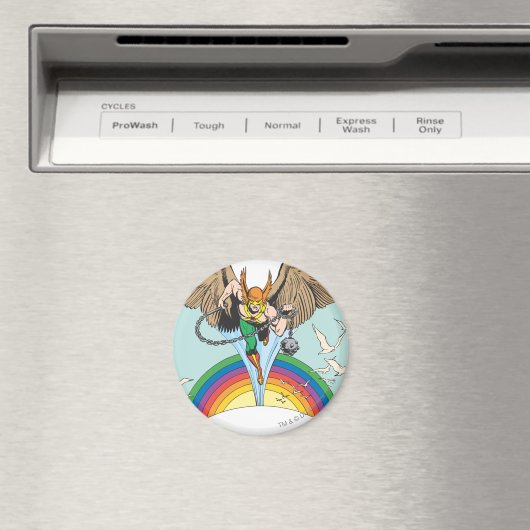 Hawkman Flies Thru Sky Magnet (In Situ (Geschirrspüler))