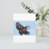 Hawks Kampf um die Kontrolle des Himmels Postkarte (Stehend Vorderseite)