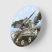 Hawks Ospreys Wall Clock Runde Wanduhr (Winkel)