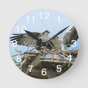 Hawks Ospreys Wall Clock Runde Wanduhr