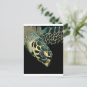 Hawksbill Angel Postkarte (Stehend Vorderseite)