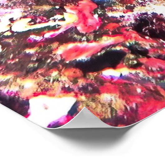 Hawksbill auf den Malediven Poster (Ecke)