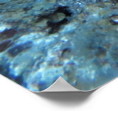 Hawksbill Blending in Poster (Ecke)