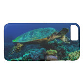 Hawksbill Meeresschildkröte auf dem Great Barrier Case-Mate iPhone Hülle (Rückseite (Horizontal))