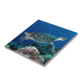 Hawksbill Meeresschildkröte-Great Barrier Reef Fliese (Seite)