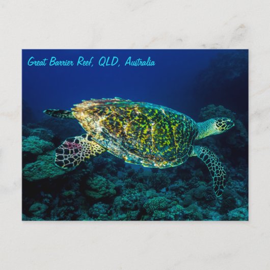 Hawksbill Meeresschildkröte-Great Barrier Reef Postkarte (Vorderseite)