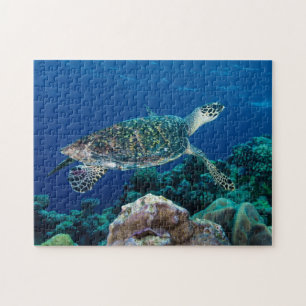 Hawksbill Meeresschildkröte-Great Barrier Reef Puzzle