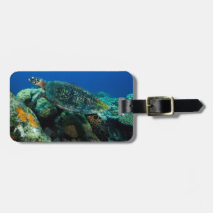 Hawksbill Meeresschildkröte im Korallenmeer Gepäckanhänger