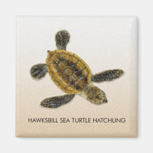 Hawksbill Meeresschildkrötehatchlings-Magnet Magnet