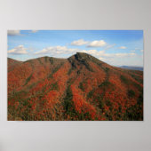 Hawksbill Mountain im Herbst, North Carolina Poster (Vorne)