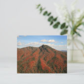 Hawksbill Mountain in Herbst, Linville Gorge, NC Postkarte (Stehend Vorderseite)