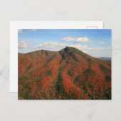 Hawksbill Mountain in Herbst, Linville Gorge, NC Postkarte (Vorne/Hinten)