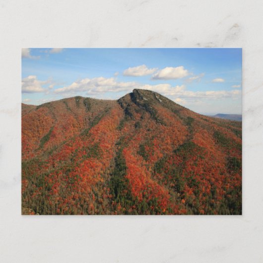 Hawksbill Mountain in Herbst, Linville Gorge, NC Postkarte (Vorderseite)