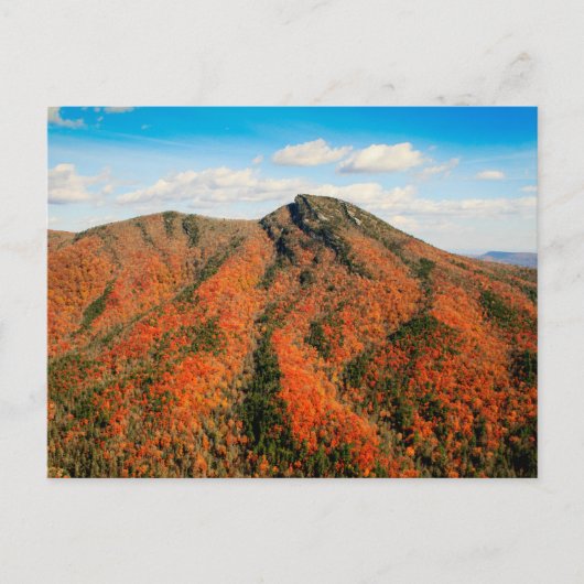 Hawksbill Mountain, Linville Gorge, North Carolina Postkarte (Vorderseite)