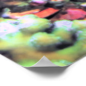 Hawksbill Portrait Poster (Ecke)