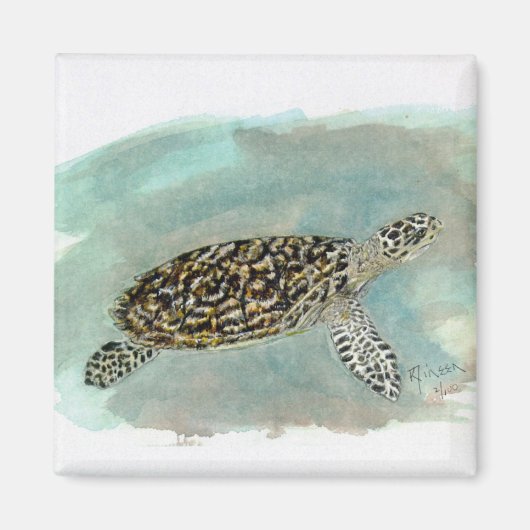 Hawksbill Sea Turtle Magnet (Vorne)