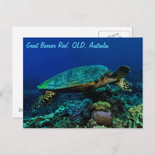Hawksbill Sea Turtle Postcard Postkarte (Vorne/Hinten)