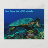 Hawksbill Sea Turtle Postcard Postkarte (Vorderseite)