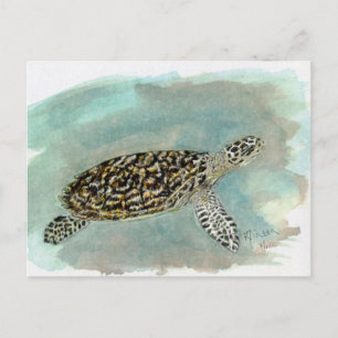 Hawksbill Sea Turtle Postcard Postkarte