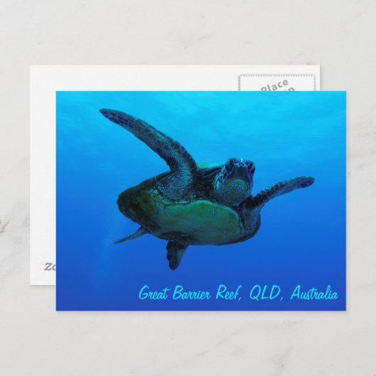 Hawksbill Sea Turtle Postcard Postkarte (Vorne/Hinten)