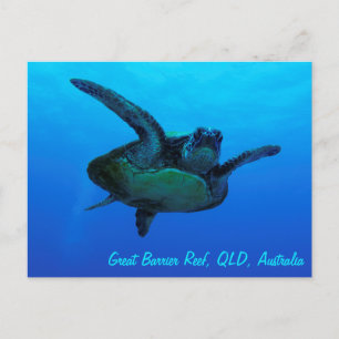 Hawksbill Sea Turtle Postcard Postkarte