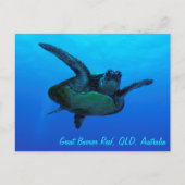 Hawksbill Sea Turtle Postcard Postkarte (Vorderseite)