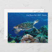 Hawksbill Sea Turtle Postcard Postkarte (Vorne/Hinten)