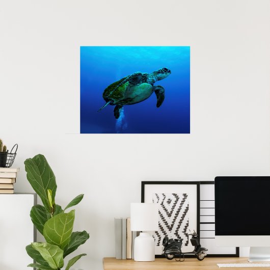 Hawksbill Sea Turtle Poster (Heimbüro)