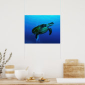 Hawksbill Sea Turtle Poster (Küche)