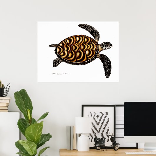 Hawksbill Sea Turtle Poster (Heimbüro)