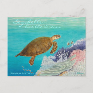 Hawksbill Sea Turtle Postkarte