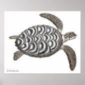 Hawksbill Sea Turtle Print Poster (Vorne)