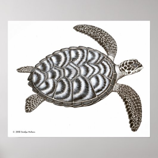 Hawksbill Sea Turtle Print Poster (Vorne)